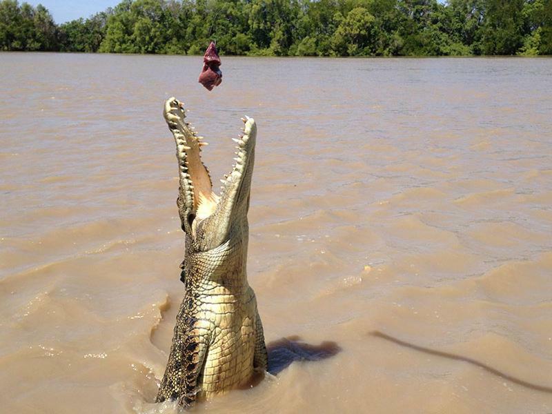 The Tropical Sanctuary Hotel ดาร์วิน ภายนอก รูปภาพ